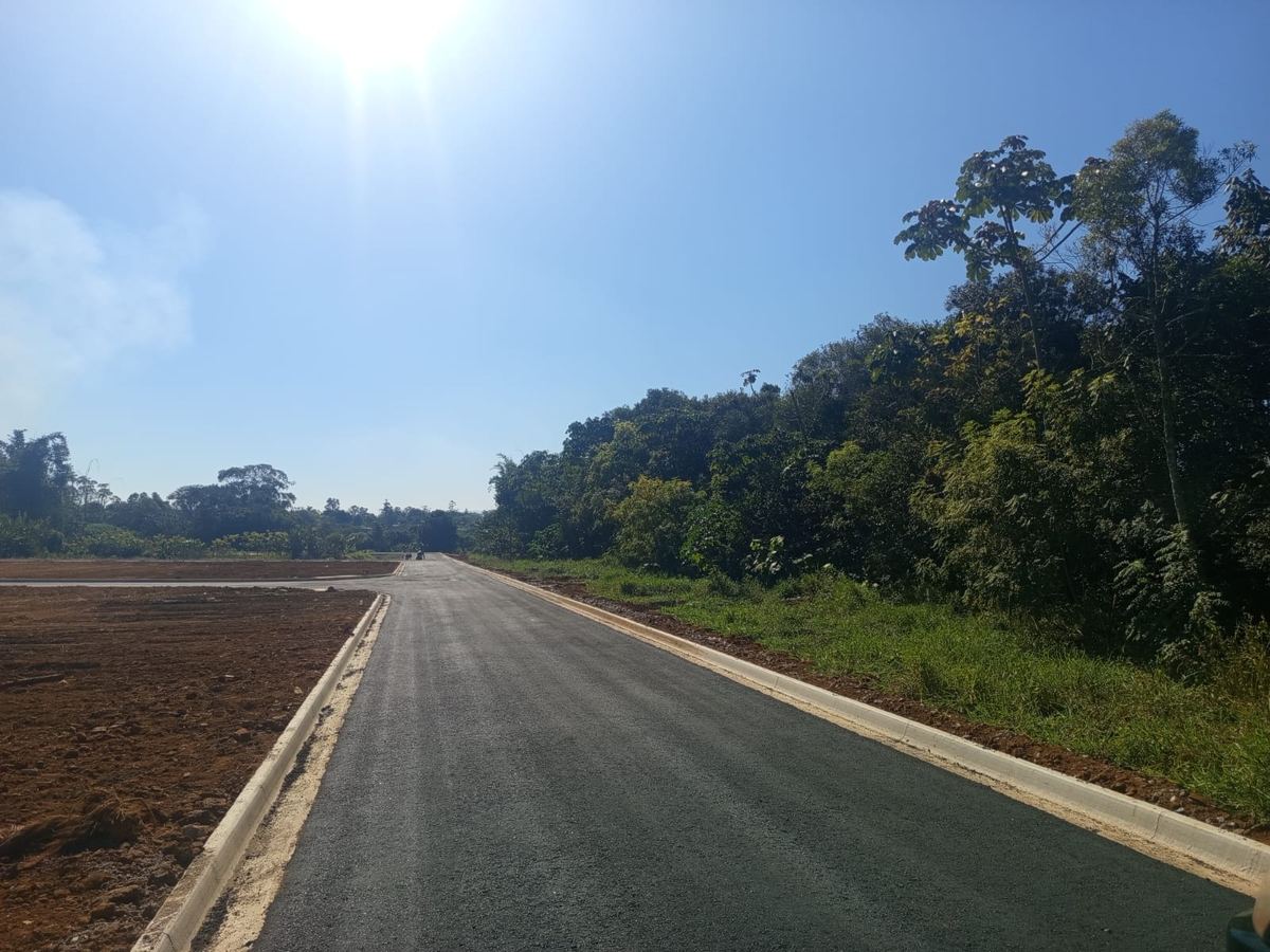 Lotes terraplenados com rua