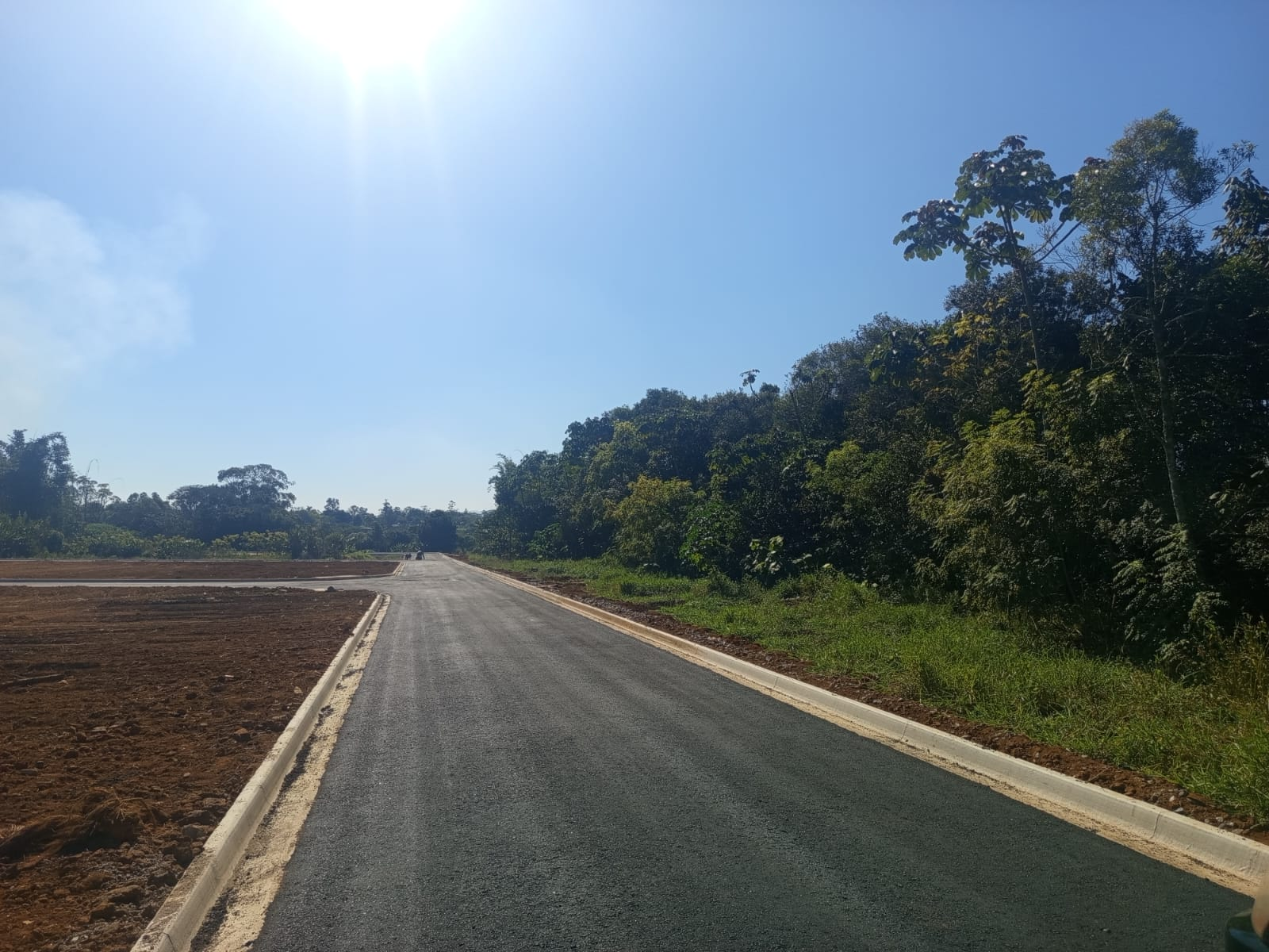 Lotes terraplenados com rua